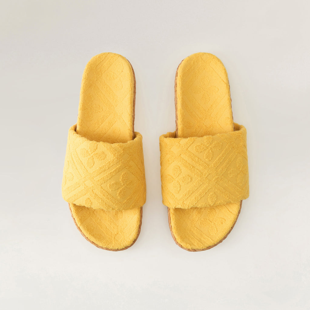 Joanna Terry Slide