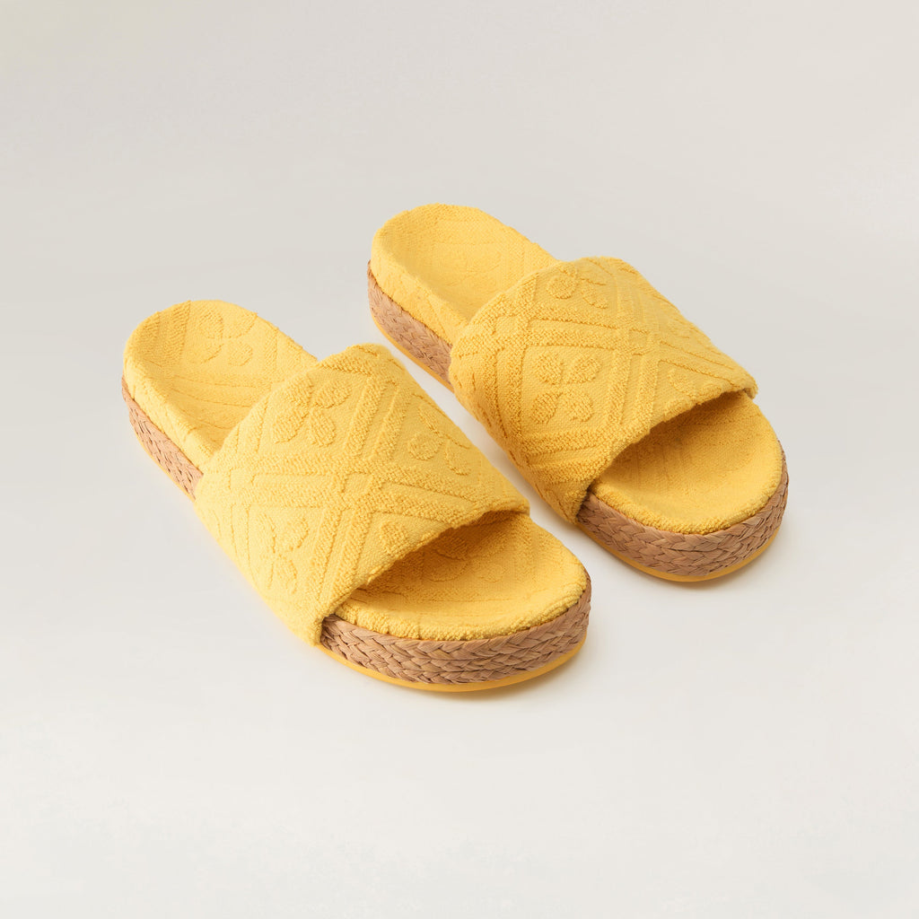 Joanna Terry Slide