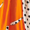 Polka Dot Border Print Shawl Scarf